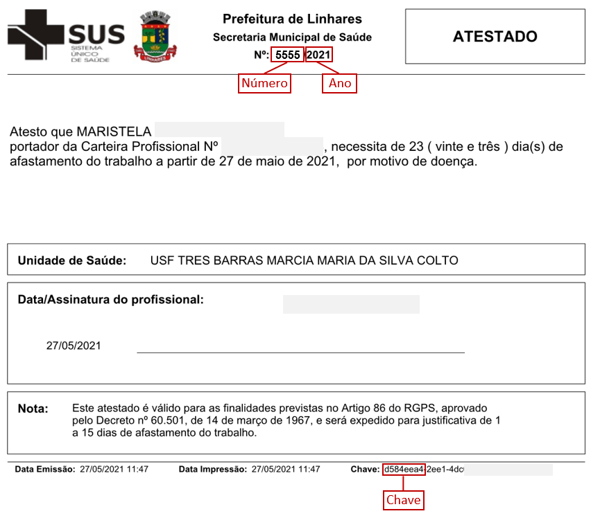 Imagem do Atestado, com as indicações em vermelho da localização de cada informação