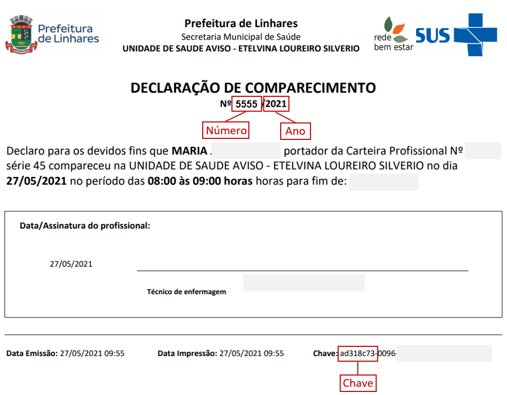 Imagem do Declaracao, com as indicações em vermelho da localização de cada informação